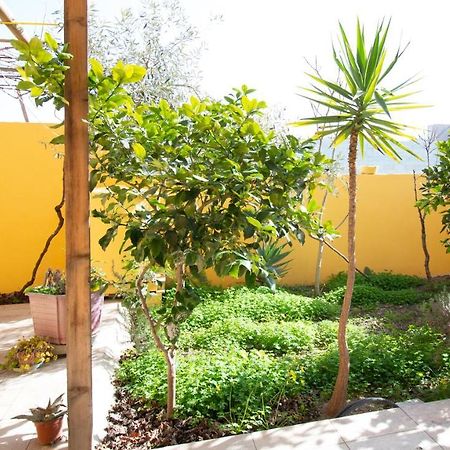 Yellow House-Villetta Con Giardino オリスターノ エクステリア 写真